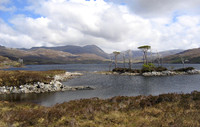 Drumbeg