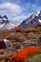 Patagonia