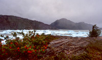 Icebergs in mist and rain