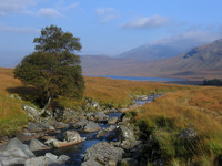 Corrour Estate