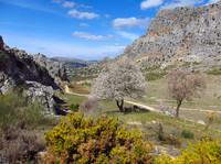 Hills above Montejaque