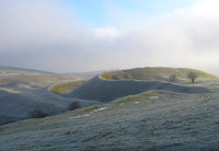 Hambledon Hill