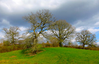 Below Shaftesbury